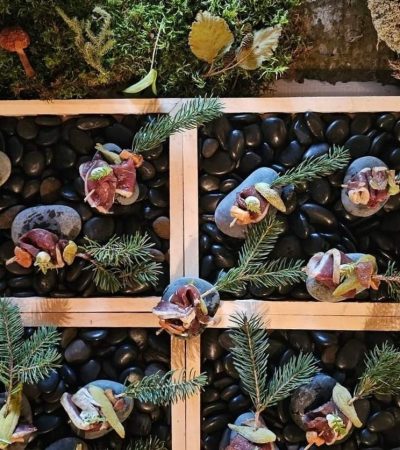 Bouchée LePresbytère